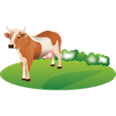 Feeding cattle icon